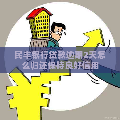 民丰银行贷款逾期2天怎么归还保持良好信用