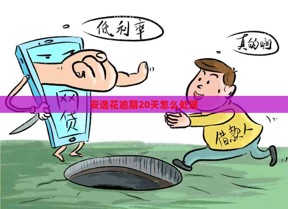 安逸花逾期20天怎么处理