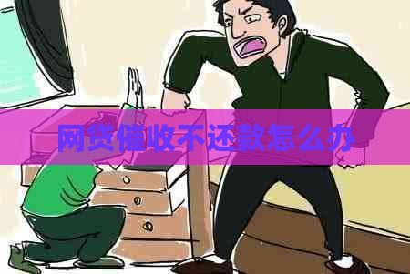 网贷不还款怎么办