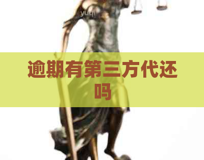 逾期有第三方代还吗