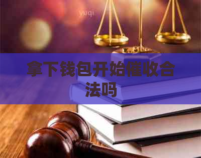 拿下钱包开始合法吗