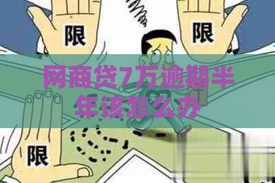 网贷7万逾期半年该怎么办