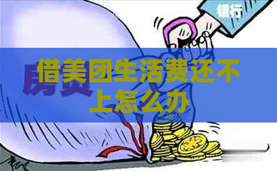 借美团生活费还不上怎么办