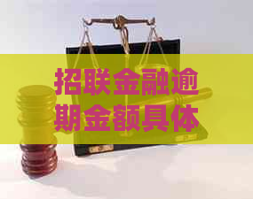 招联金融逾期金额具体包括哪些费用