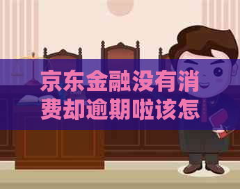京东金融没有消费却逾期啦该怎么办