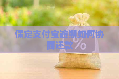 保定支付宝逾期如何协商还款
