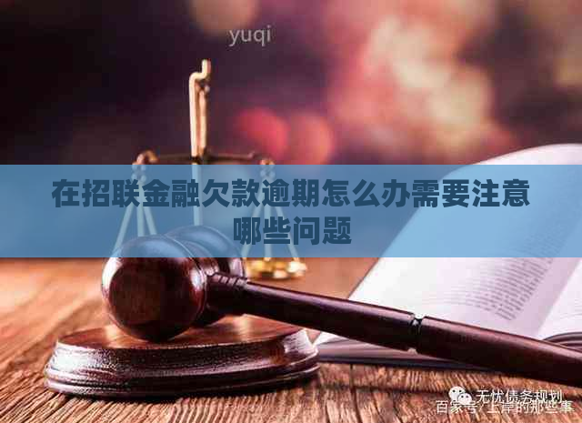 在招联金融欠款逾期怎么办需要注意哪些问题