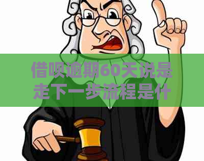 网贷逾期60天说是走下一步流程是什么