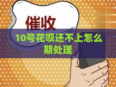 10号花呗还不上怎么期处理