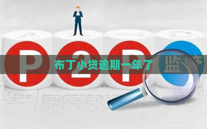 布丁小贷逾期一年了