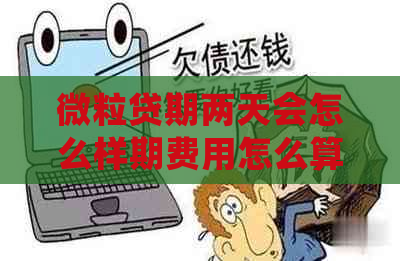 微粒贷期两天会怎么样期费用怎么算