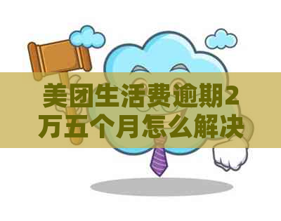 美团生活费逾期2万五个月怎么解决