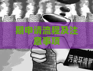 期申请流程及注意事项