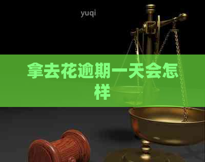 拿去花逾期一天会怎样