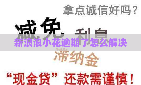 新浪浪小花逾期了怎么解决