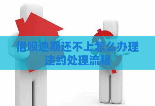 网贷逾期还不上怎么办理违约处理流程