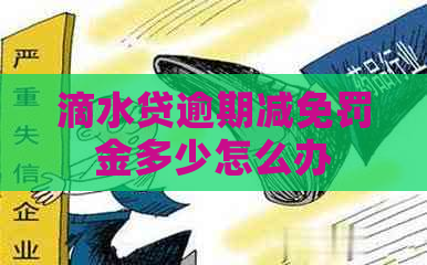 滴水贷逾期减免罚金多少怎么办