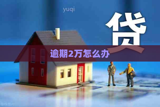 逾期2万怎么办