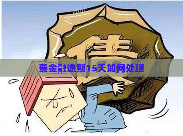 费金融逾期15天如何处理