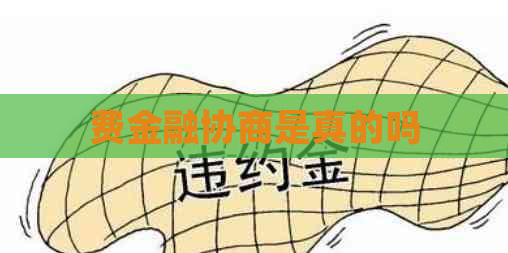 费金融协商是真的吗