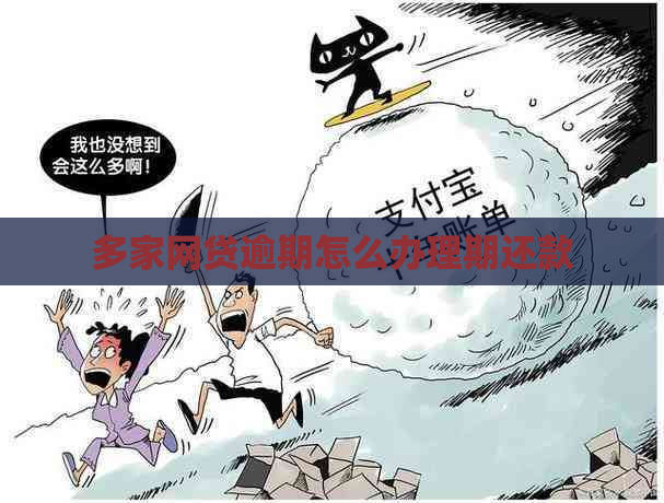 多家网贷逾期怎么办理期还款