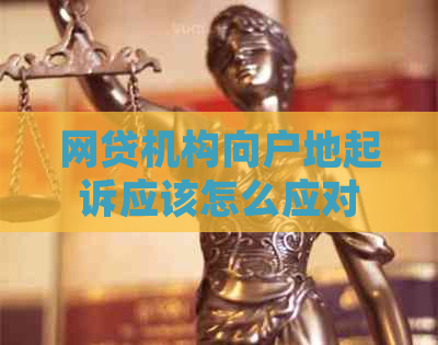 网贷机构向户地起诉应该怎么应对