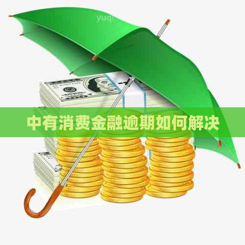 中有消费金融逾期如何解决