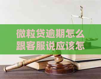 微粒贷逾期怎么跟客服说应该怎样解决