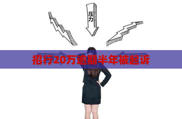 招行20万逾期半年被起诉