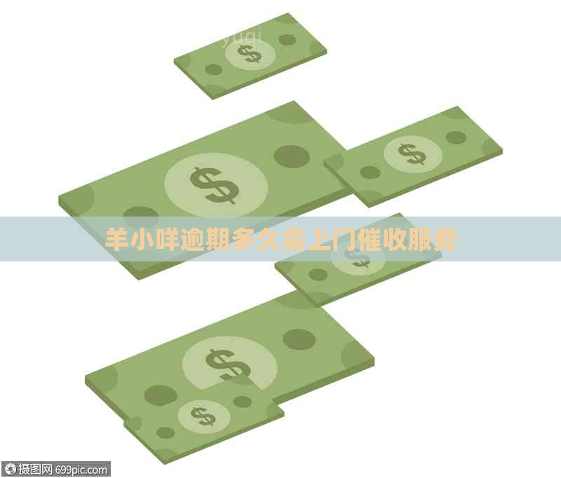 羊小咩逾期多久会上门服务