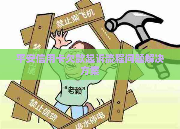 平安信用卡欠款起诉流程问题解决方案