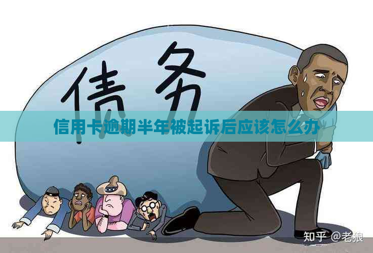 信用卡逾期半年被起诉后应该怎么办