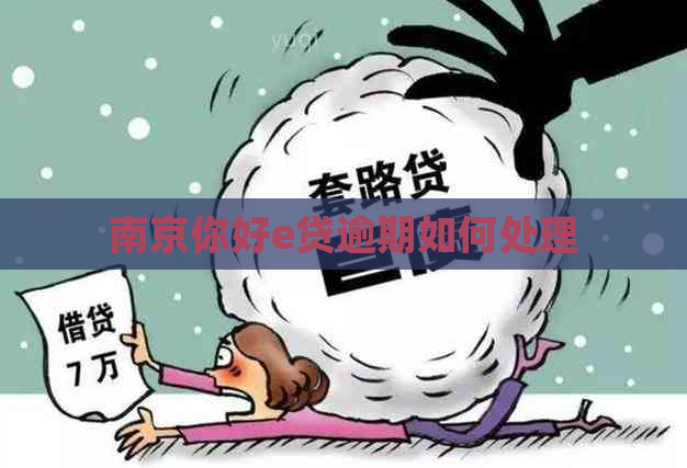 南京你好e贷逾期如何处理