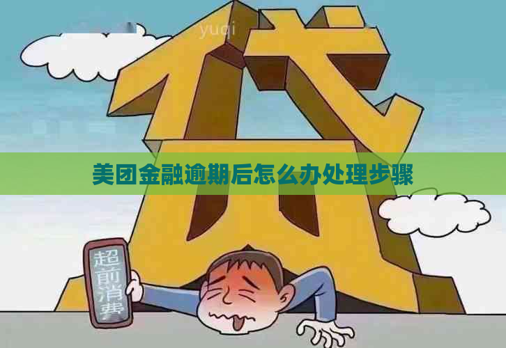 美团金融逾期后怎么办处理步骤