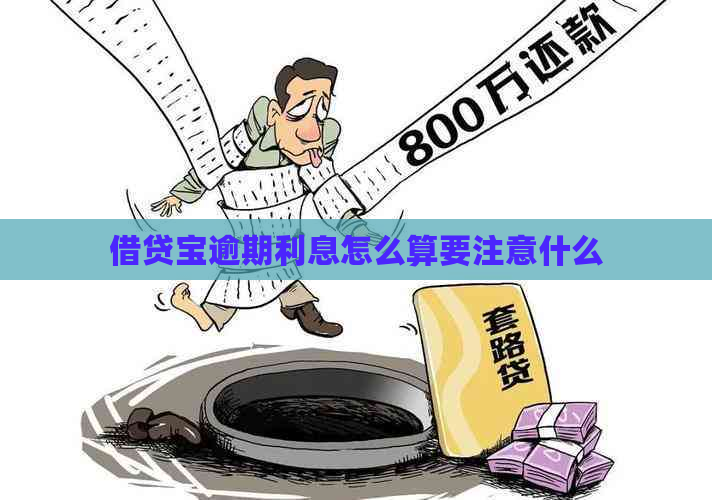 借贷宝逾期利息怎么算要注意什么