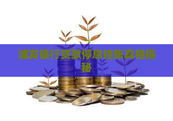 浦发银行贷款停息挂账真相揭秘