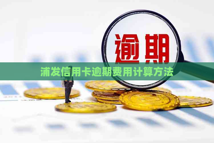 浦发信用卡逾期费用计算方法