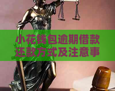 小花钱包逾期借款还款方式及注意事项