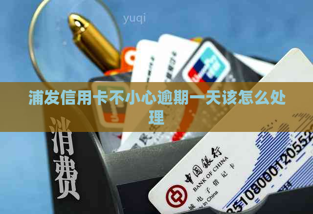浦发信用卡不小心逾期一天该怎么处理