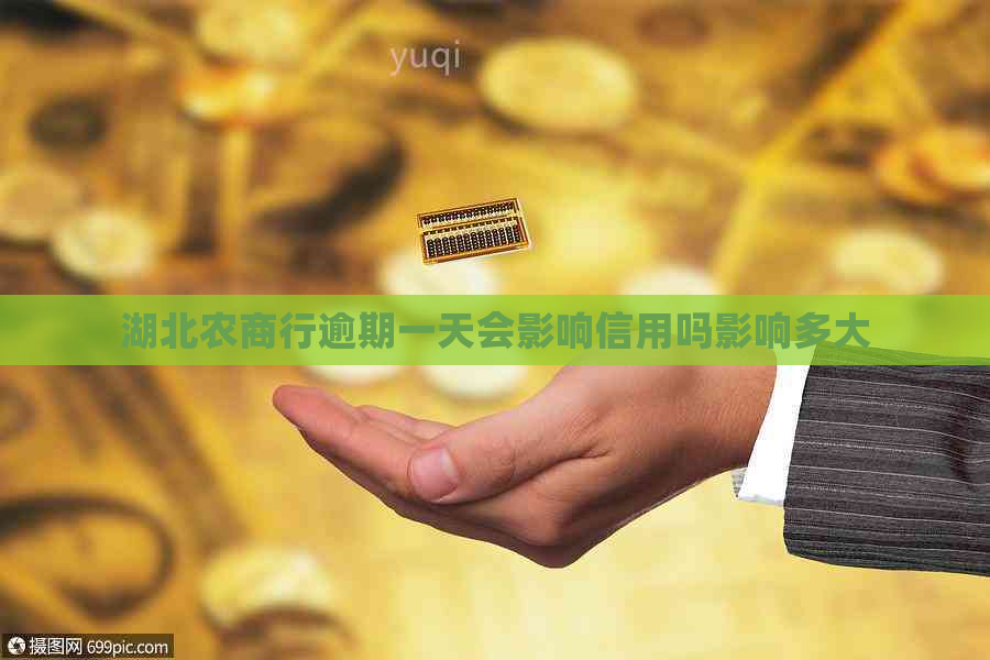 湖北农商行逾期一天会影响信用吗影响多大