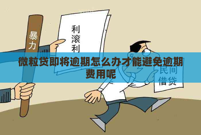 微粒贷即将逾期怎么办才能避免逾期费用呢