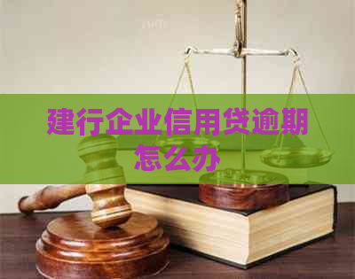 建行企业信用贷逾期怎么办
