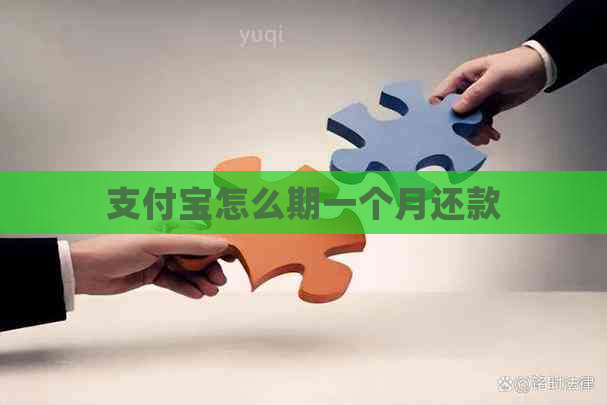 支付宝怎么期一个月还款