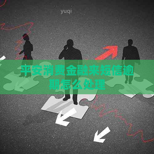 平安消费金融来短信逾期怎么处理
