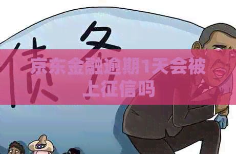 京东金融逾期1天会被上吗