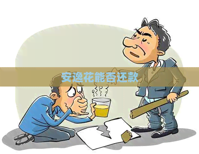 安逸花能否还款