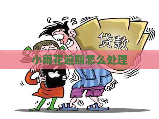 小雨花逾期怎么处理