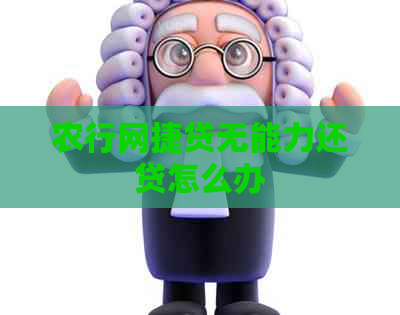 农行网捷贷无能力还贷怎么办