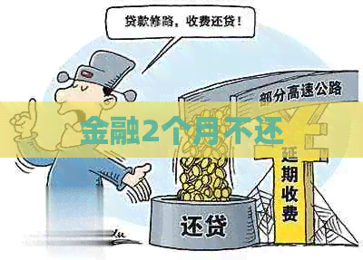 金融2个月不还