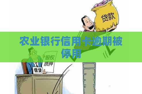 农业银行信用卡逾期被停用